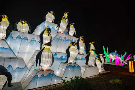 Los Angeles, NOV 21: Beautiful colorful lantern of Moonlight Forest Festival on NOV 21, 2018 at Los Angelesのeditorial素材