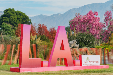 Los Angeles, NOV 17: Morning view of the colorful L.A. sign lantern of Moonlight Forest Festival on NOV 17, 2018 at Los Angelesのeditorial素材