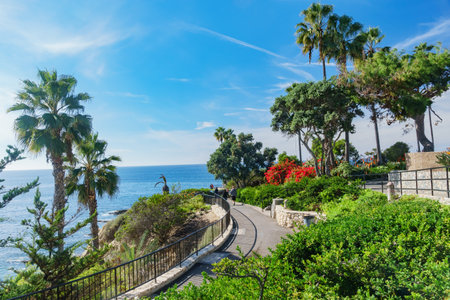 Beautiful scenery around Laguna Beach, Californiaの写真素材