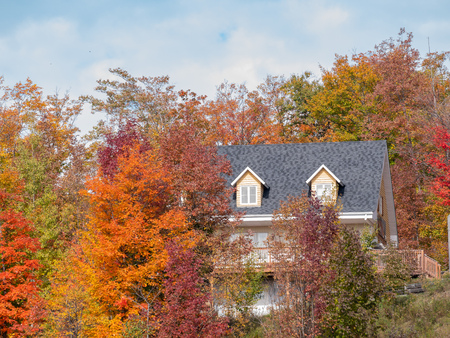 Beautiful fall color of Mont-Tremblant National Park at Quebec, Canadaのeditorial素材