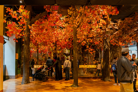 Toronto, OCT 6: Interior view of the Royal Ontario Museum on OCT 6, 2018 at Toronto, Canadaのeditorial素材