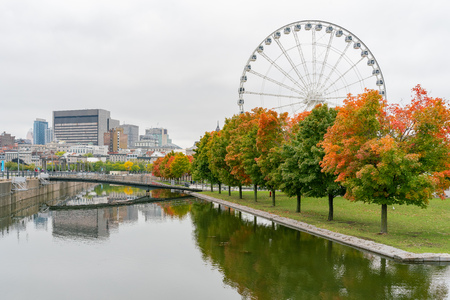 Quebec, OCT 2: Afternoon view of the beautiful fall color with the La Grande Roue de Montreal observation ferris wheel on OCT 2, 2018 at Quebec, Canadaのeditorial素材