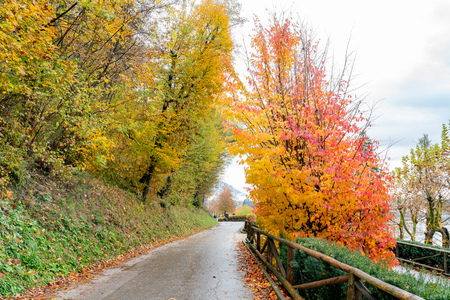 Beautiful autumn landscape around Lake Bled at Sloveniaのeditorial素材