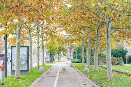 Ljubljana, NOV 3: Fall color in the city on NOV 3, 2018 at Sloveniaのeditorial素材