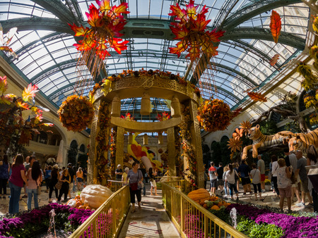 Las Vegas, OCT 12: Interior view of the famous Bellagio Conservatory & Botanical Gardens on OCT 12, 2018 at Las Vegas, Nevadaのeditorial素材