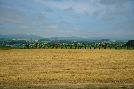Morning sunny rural landscape at Hokkaido, Japanの写真素材