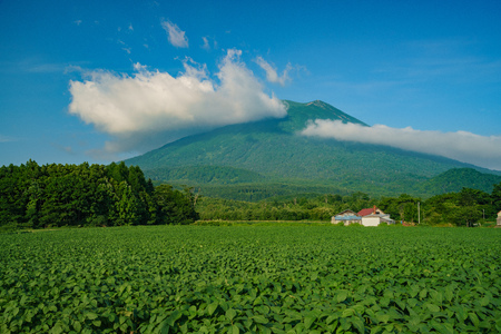 The beautiful Mount Yotei with vegtable farm at Hokkaido, Japanのeditorial素材