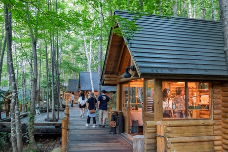 Furano, AUG 6: The famous Elf forest little house on AUG 6, 2017 at Furano, Hokkaido, Japanのeditorial素材