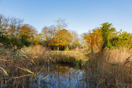 Traveling in the Hotham Park, Bognor Regis, United Kingdom around morning
