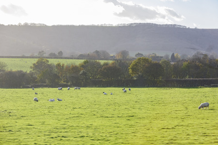 Sunset nature rural landscape at United Kingdomの写真素材