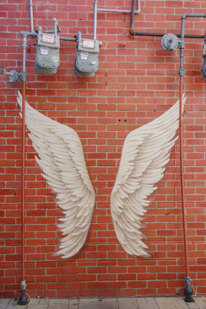 Redlands, MAR 14: Los Angeles Wings on a red wall on MAR 14, 2019 at Redlands, Californiaのeditorial素材