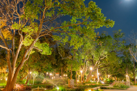Taichung, DEC 20: Night view of the World Garden of Taichung World Flora Exposition on DEC 20, 2018 at Taichungのeditorial素材