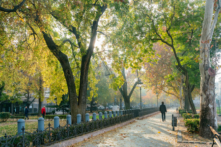 Beautiful autumn landscape around Liberty Square at Budapest, Hungaryのeditorial素材