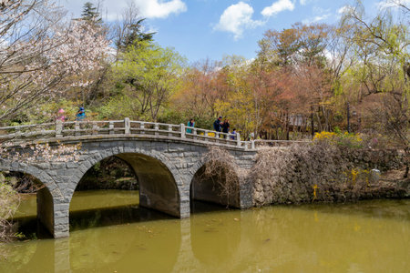 Busan, APR 4: Beautiful bridge in Bulguksa on APR 4, 2014 at Busan, South Koreaのeditorial素材