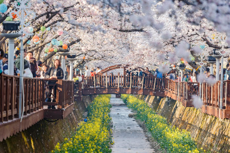 Busan, APR 3: Cherry tree blossom and Jinhae Gunhangje Festival on APR 3, 2014 at Busan, South Koreaのeditorial素材