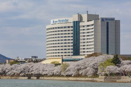 Busan, APR 4: Beautiful cherry tree blossom around the famous Bomun Lake on APR 4, 2014 at Busan, South Koreaのeditorial素材