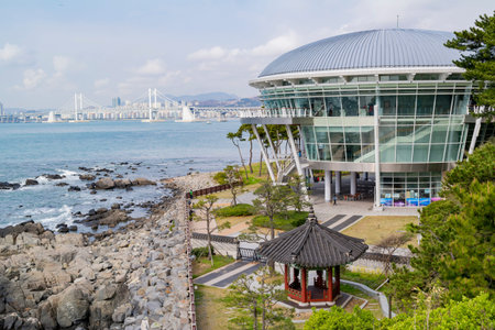 Busan, APR 2: APEC House and Guangan Bridge on APR 2, 2014 at Busan, South Koreaのeditorial素材