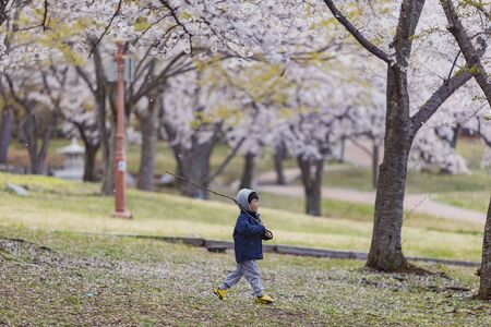 Busan, APR 4: Many kids having a field trip in the famous Bulguksa temple on APR 4, 2014 at Busan, South Koreaのeditorial素材