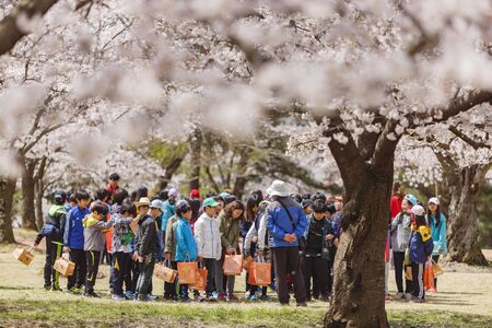Busan, APR 4: Many kids having a field trip in the famous Bulguksa temple on APR 4, 2014 at Busan, South Koreaのeditorial素材