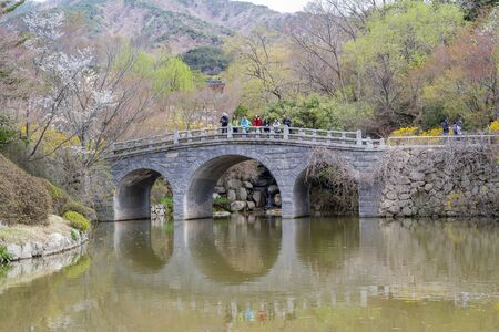 Busan, APR 4: Beautiful bridge in Bulguksa on APR 4, 2014 at Busan, South Koreaのeditorial素材
