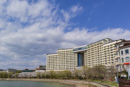 Busan, APR 4: Beautiful cherry tree blossom around the famous Bomun Lake on APR 4, 2014 at Busan, South Koreaのeditorial素材