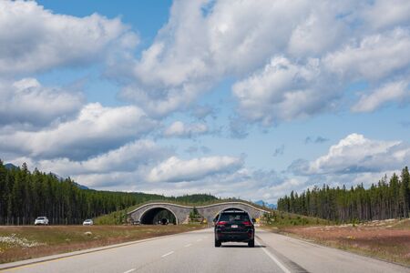 Banff, JUL 26: Landscape on the road on JUL 26, 2019 at Banff, Canadaのeditorial素材