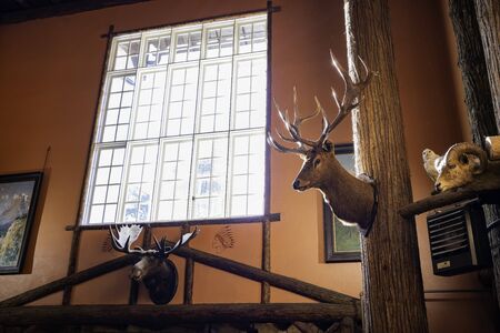 Montana, AUG 27: Interior view of the Lake Mcdonald Lodge on AUG 27, 2019 at Montanaのeditorial素材