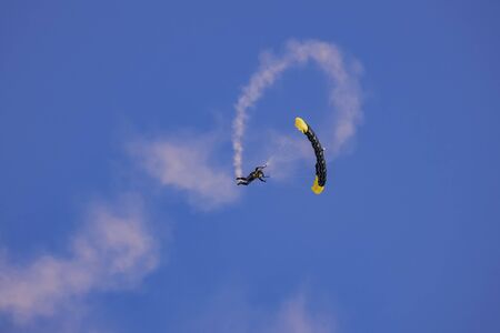 Las Vegas, NOV 17:  Army performance parachute show in USAF Air show at Nellis Air Force Base on NOV 17, 2019 at Las Vegas, Nevadaのeditorial素材
