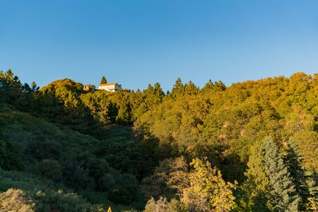 Beautiful landscape of Palomar Mountain at Californiaの写真素材