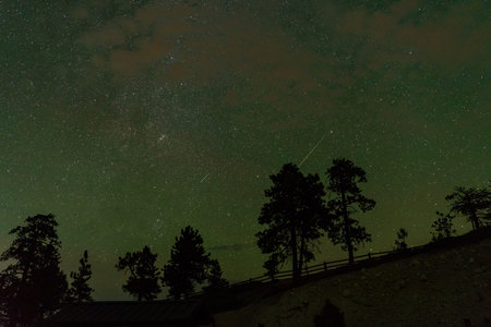 Starry sky, milky way, tress in Bryce Canyon National Park at Utah