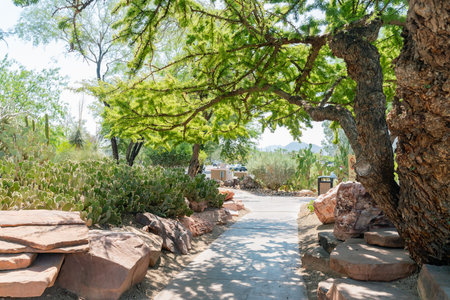Exterior view of the famous cactus garden of Ethel M Chocolate Factory at Las Vegas, Hendersonの写真素材