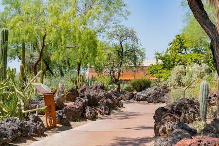 Las Vegas, AUG 15: Exterior view of the famous cactus garden of Ethel M Chocolate Factory on AUG 15, 2018 at Las Vegas, Hendersonのeditorial素材