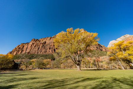 Beautiful autumn landscape around Zion National Park at Utah