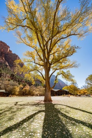 Beautiful autumn landscape around Zion National Park at Utah