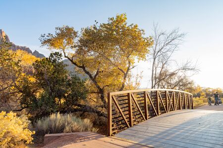 Beautiful autumn landscape around Zion National Park at Utahの写真素材