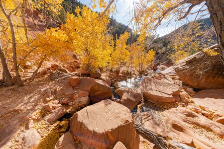 Beautiful autumn landscape around Zion National Park at Utahの写真素材