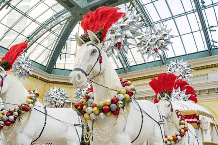 Las Vegas, DEC 17:  Interior view of the Bellagio Conservatory & Botanical Gardens on DEC 17, 2019 at Las Vegas, Nevadaのeditorial素材