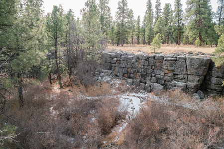 Garden of the Museum of Northern Arizona at Flagstaffのeditorial素材