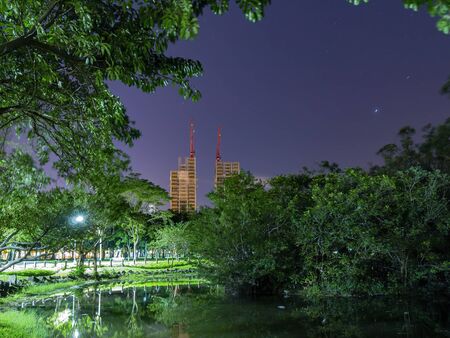 Night view of the famous Daan Forest Park at Taipei, Taiwanのeditorial素材