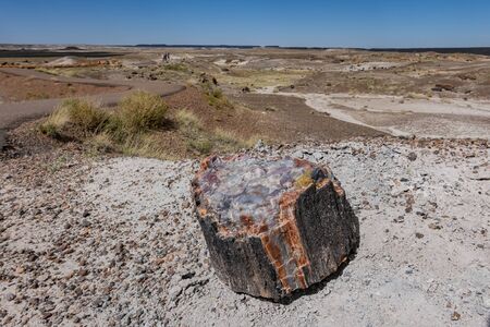 Beautiful landscape of Petrified Forest National Park at Arizonaの写真素材