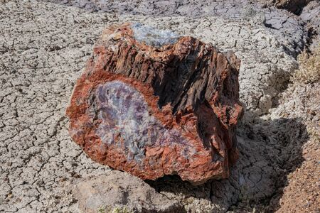 landscape of Petrified Forest National Park at Arizonaの写真素材