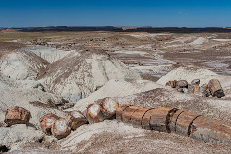 Beautiful landscape of Petrified Forest National Park at Arizona