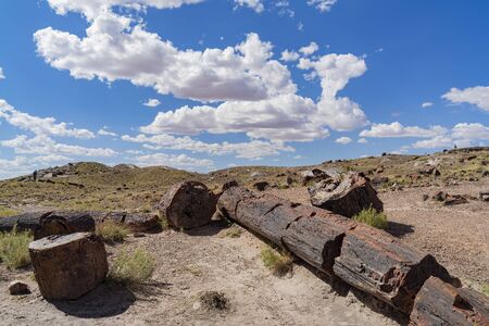 Beautiful landscape of Petrified Forest National Park at Arizonaの写真素材