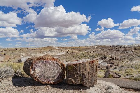 Beautiful landscape of Petrified Forest National Park at Arizonaの写真素材
