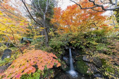 Beautiful fall color of the Tsutanuma area at Aomori, Japanの写真素材