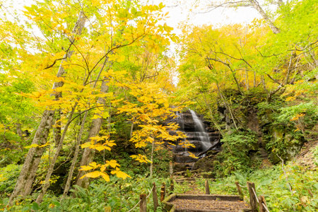 Beautiful fall color of the Nine Steps Fall, Oirase Gorge at Aomori, Japan