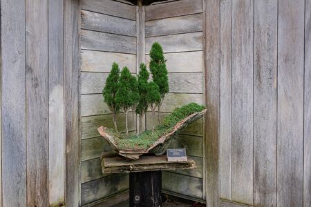Pasadena, DEC 29: Beautiful Japanese garden of the famous Huntington Library on DEC 29, 2019 at Pasadena, Californiaのeditorial素材