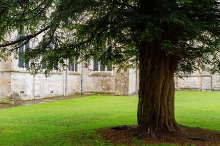Cloudy exterior view of the landscape near Chichester Cathedral at United Kingdomの写真素材