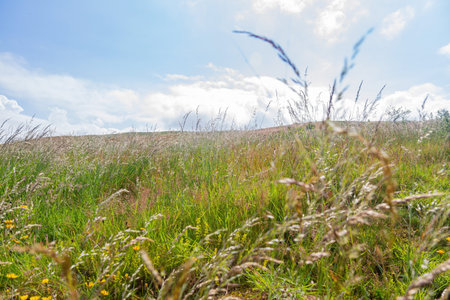 Beautiful natural landscape of Holyrood Park at Edinburgh