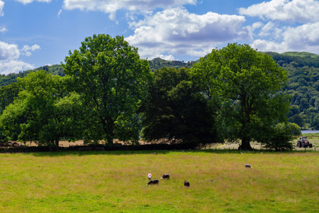 Beautiful nature landscape around Lake Windermere at Ambelside, United Kingdom